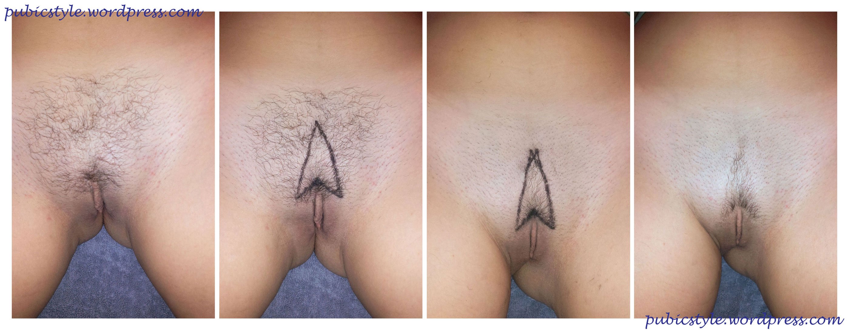 Вызывающая стрижка на вагине - секс фото 