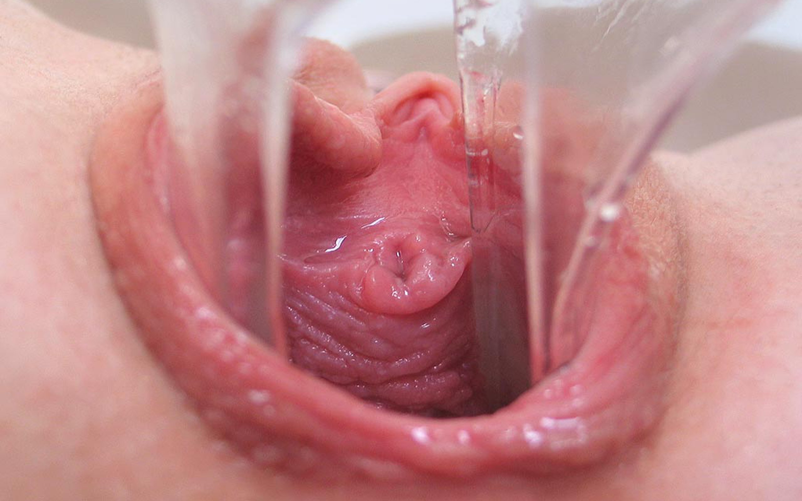 Inside view vagina orgasm