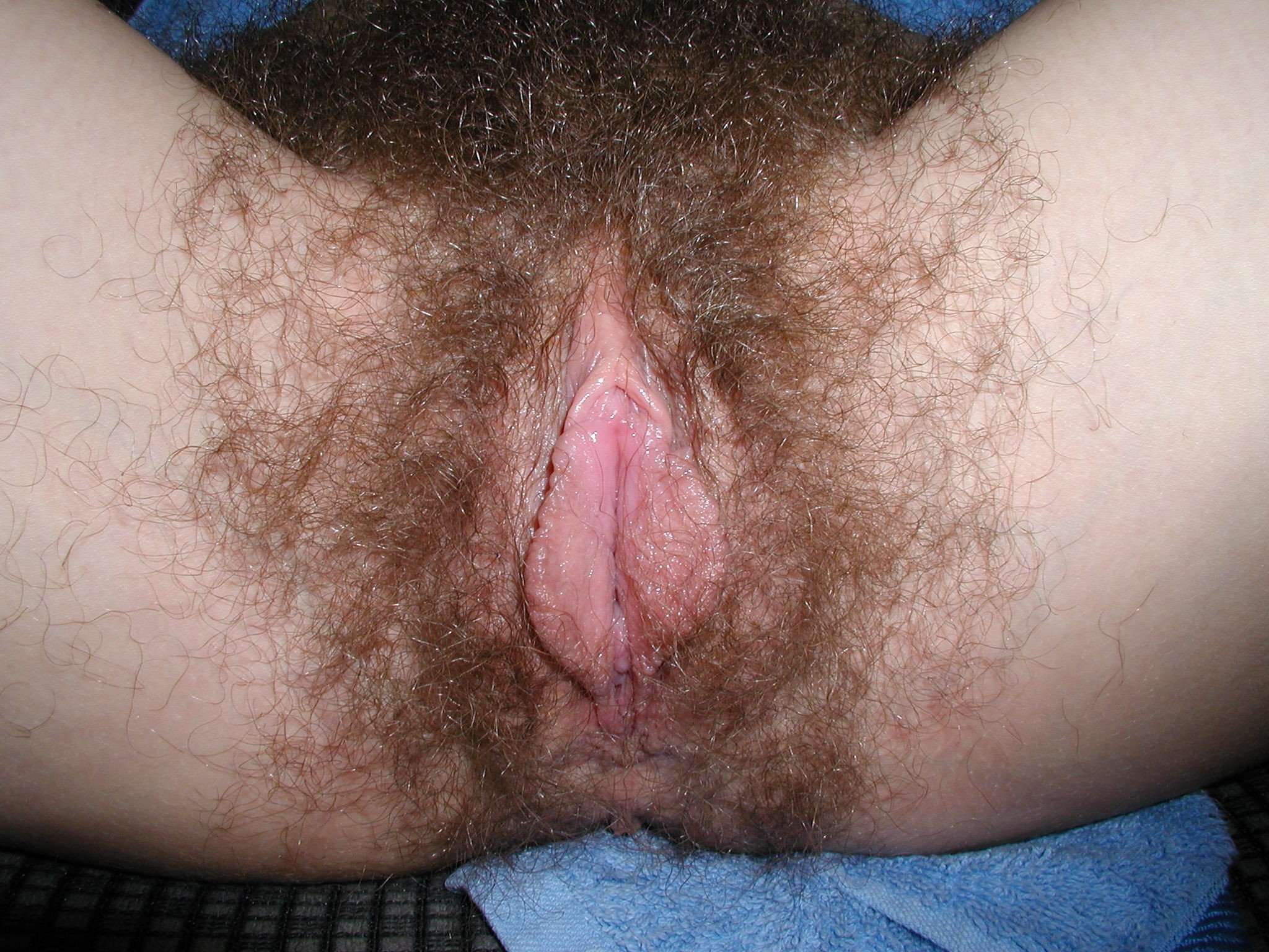 Смачные волосатые кисы на порно фото крупным планом