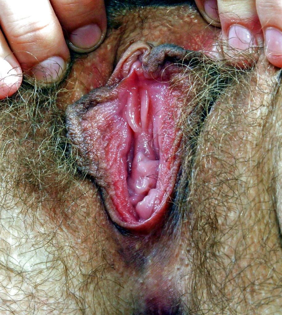 Самые Волосатые Женские Половые Органы Порно Фото