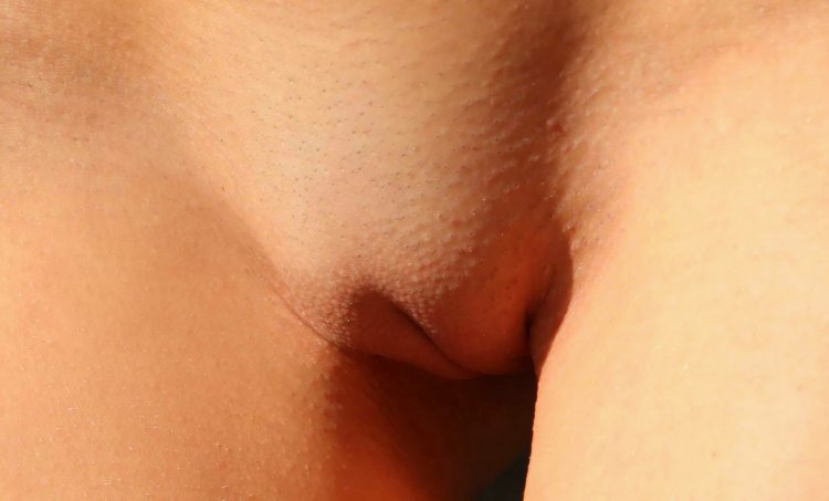 Женские лобки