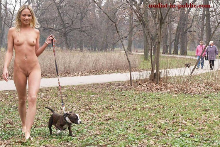 Стаффорд собака