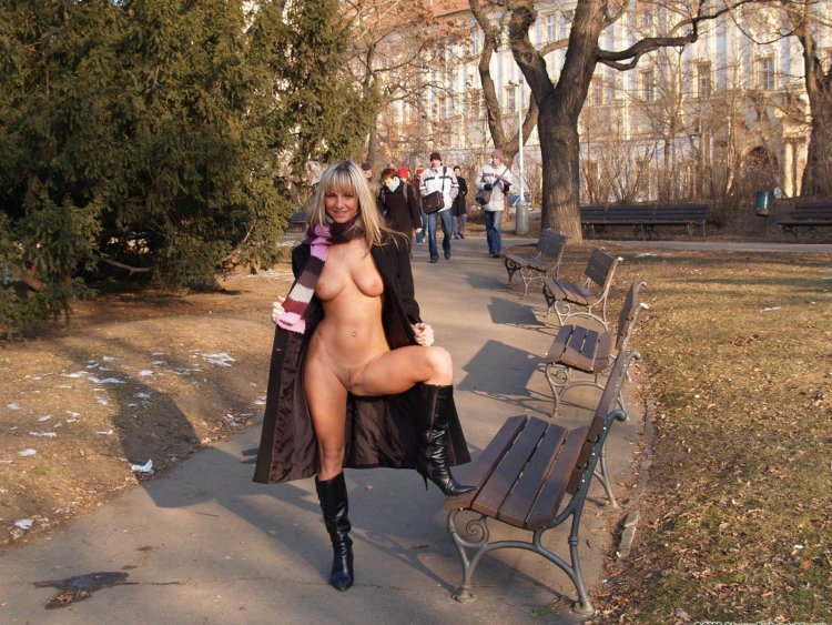 Парк скамейка