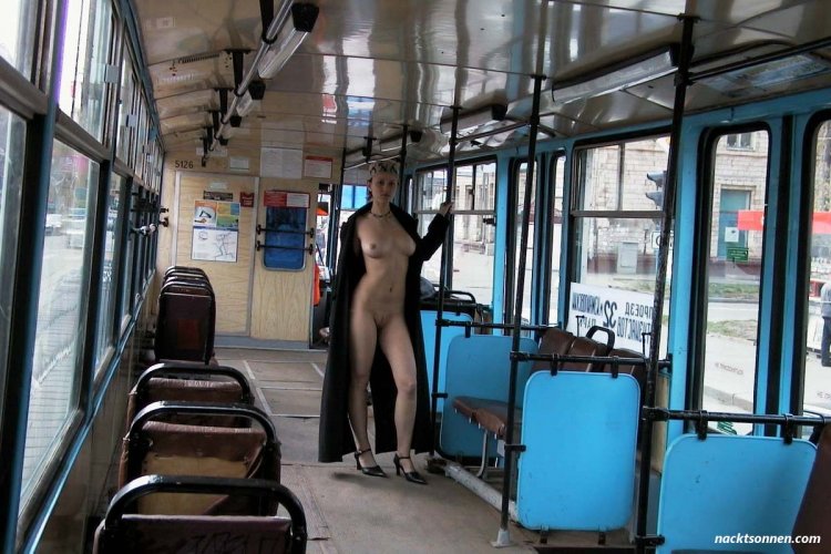 Общественный транспорт ню