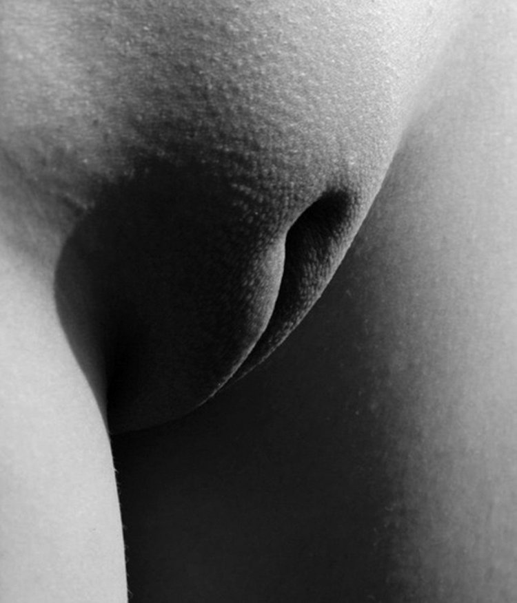 Лобок в трусах