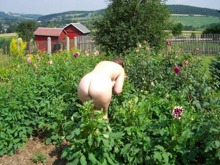 Голые женщины на даче в огороде