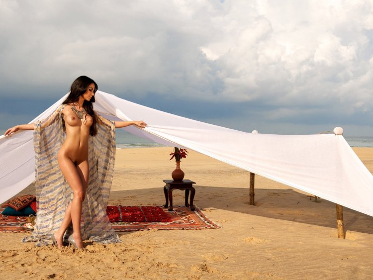 Сила Сахин плейбой