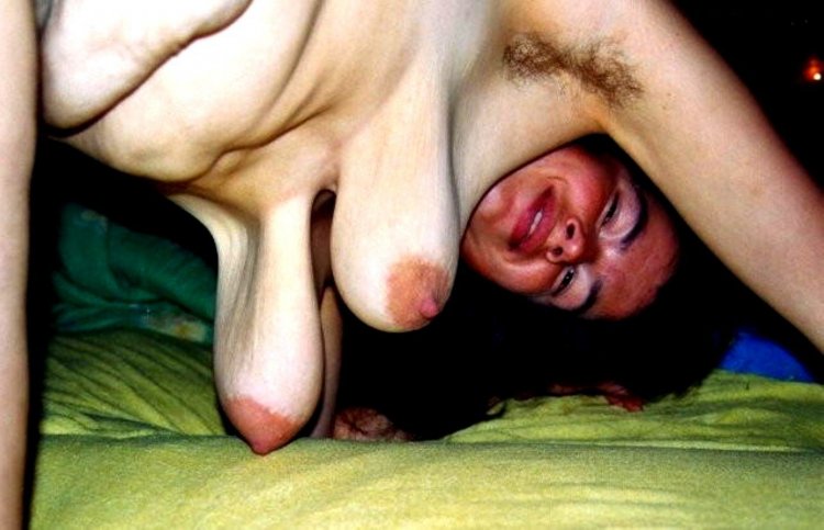 Сиськи уши спаниеля частное