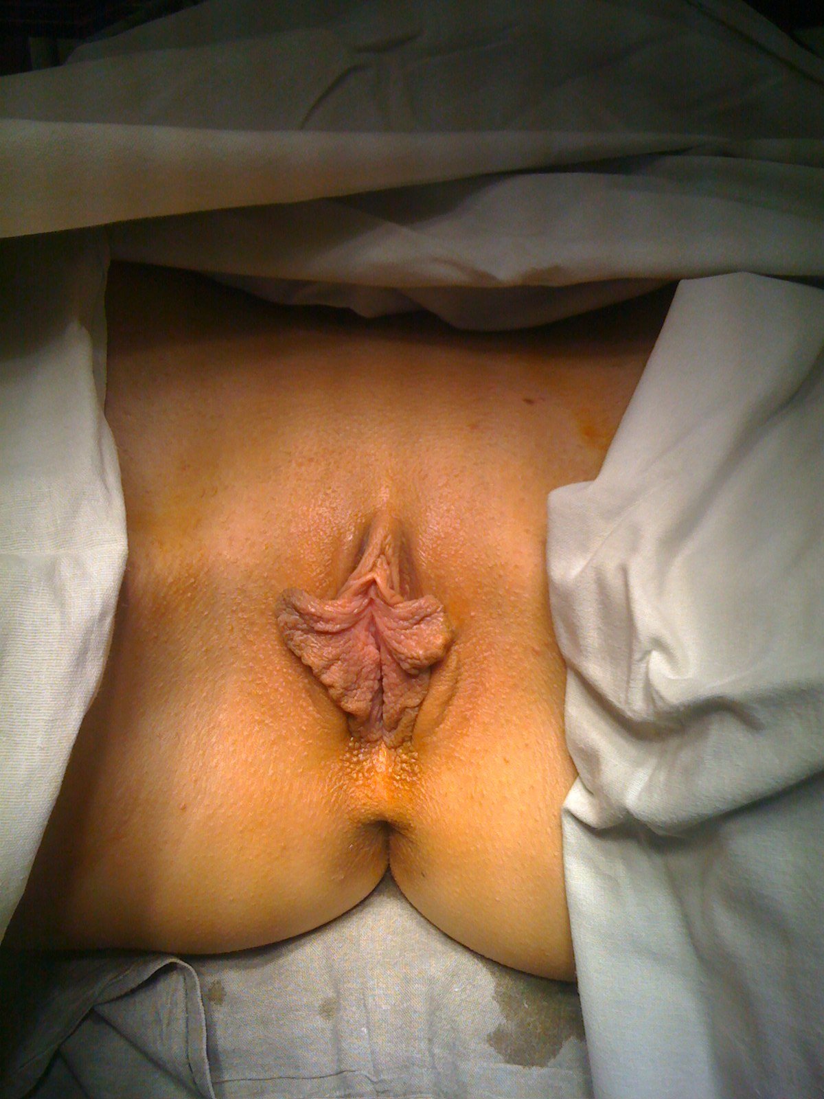 голая женская гениталия фото 68