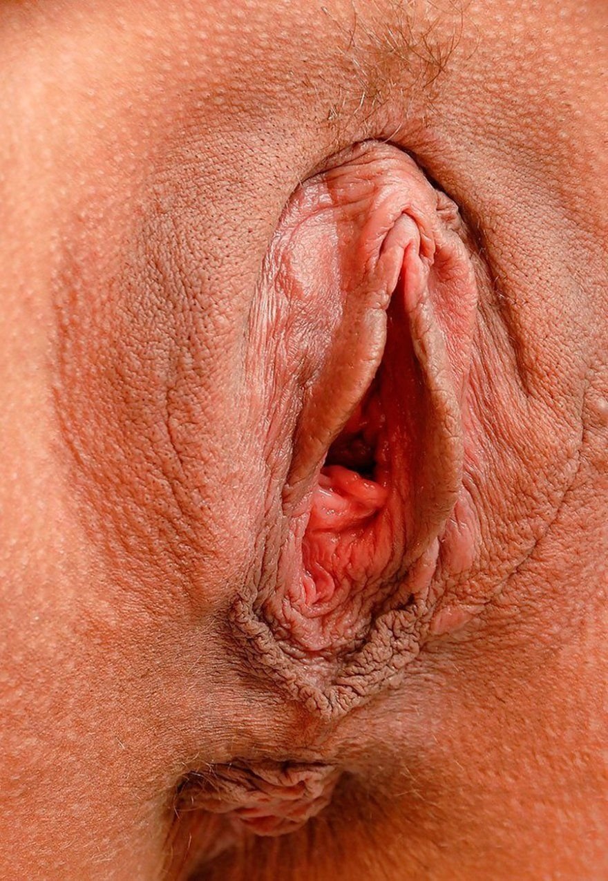 женские голые вагины фото 65