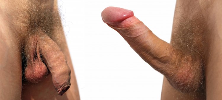 Мужской член не стоячий