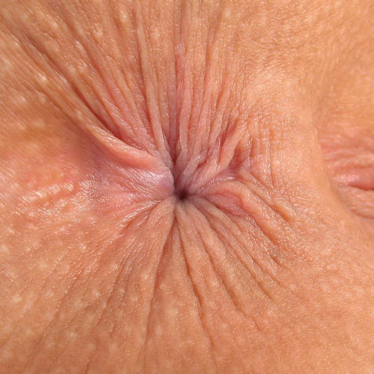 Очень красивые женские анусы