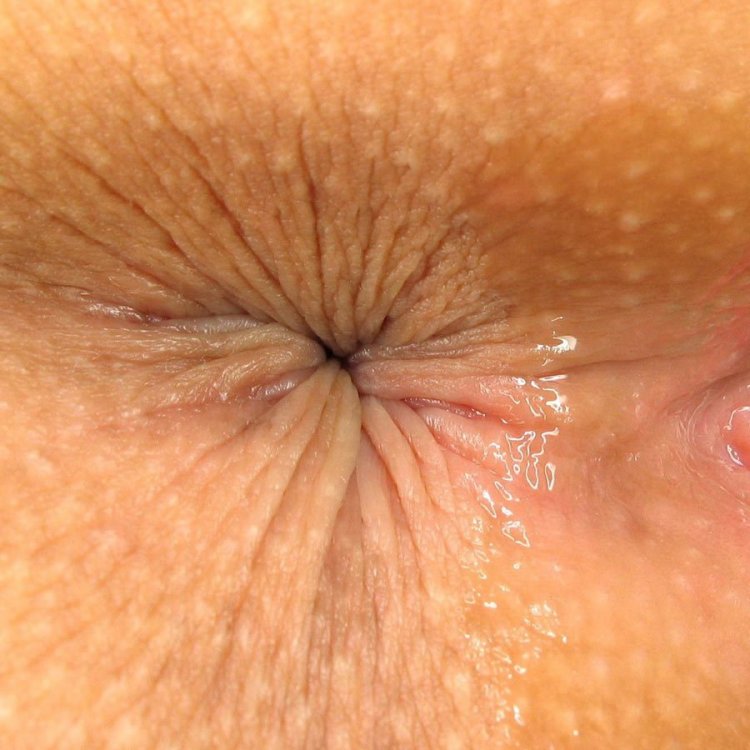 Женское анальное отверстие