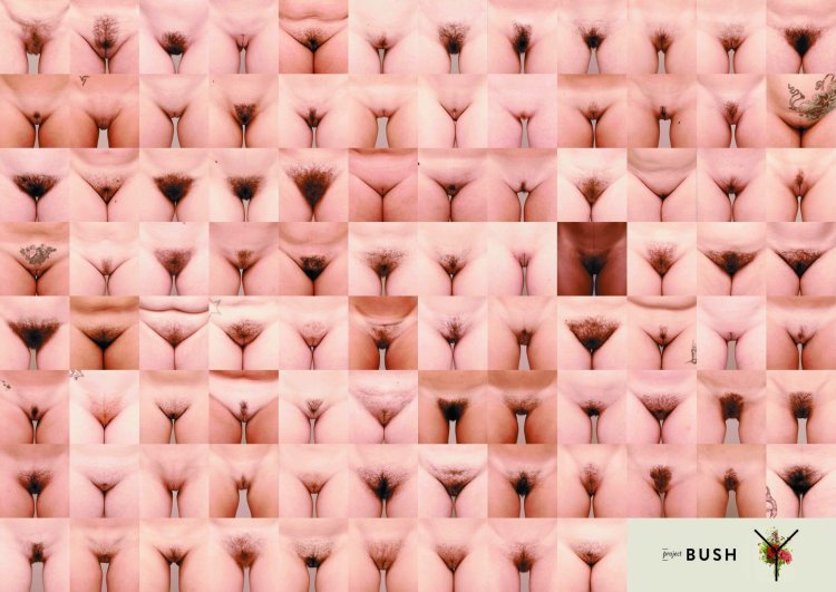 Разные формы женских гениталий