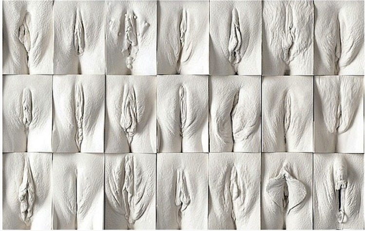 Формы женских половых губ