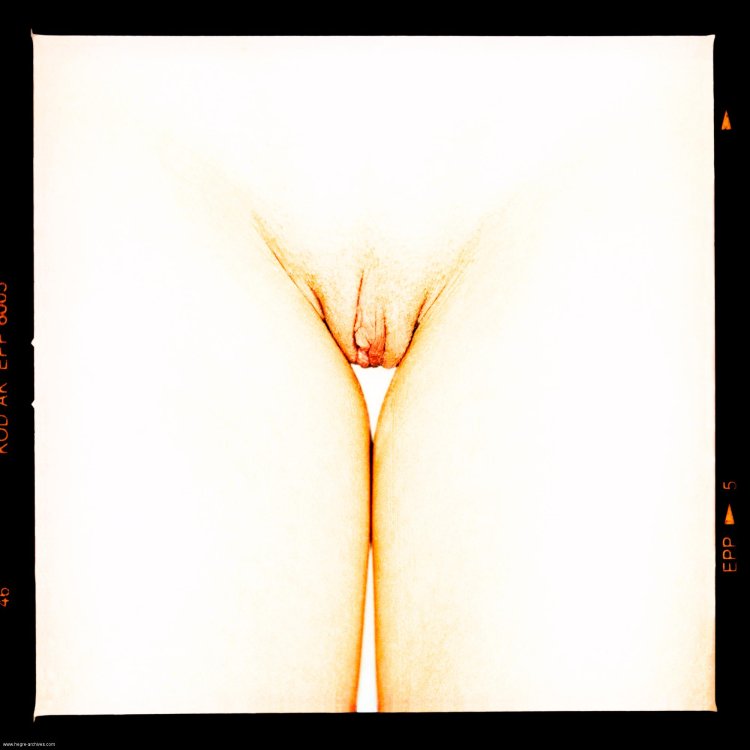 Формы женских гениталий