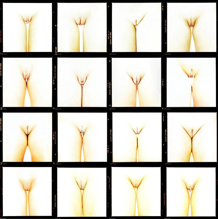 Разные формы женских писек (60 фото)