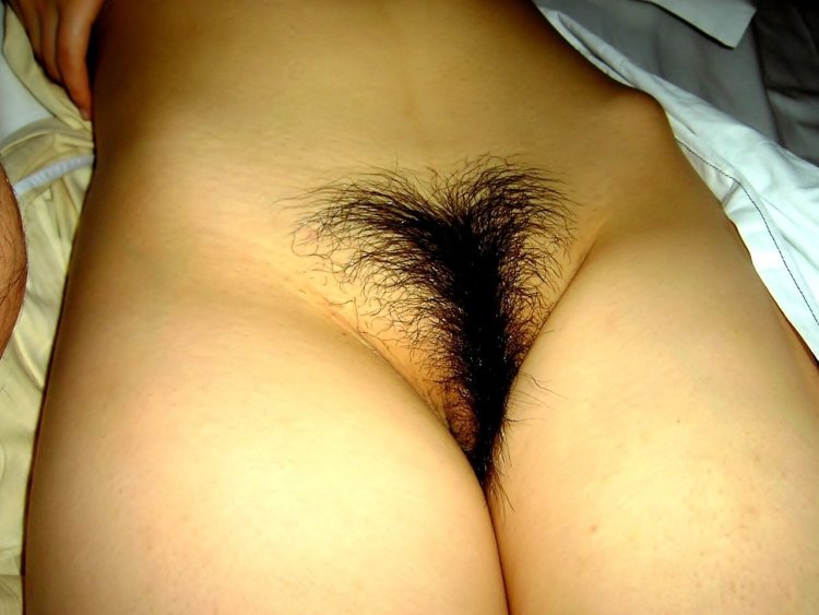 Мохнатый женский лобок