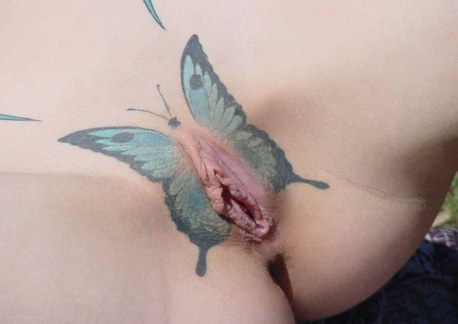 Татушка бабочка на вагине.