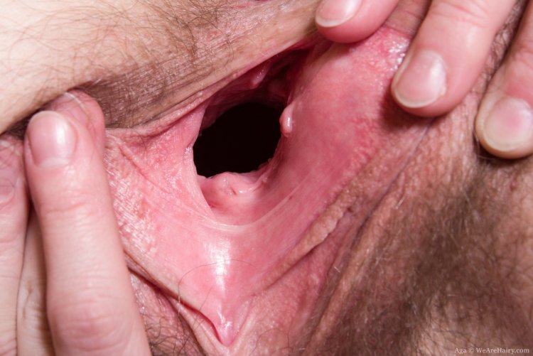 Женские вагины изнутри