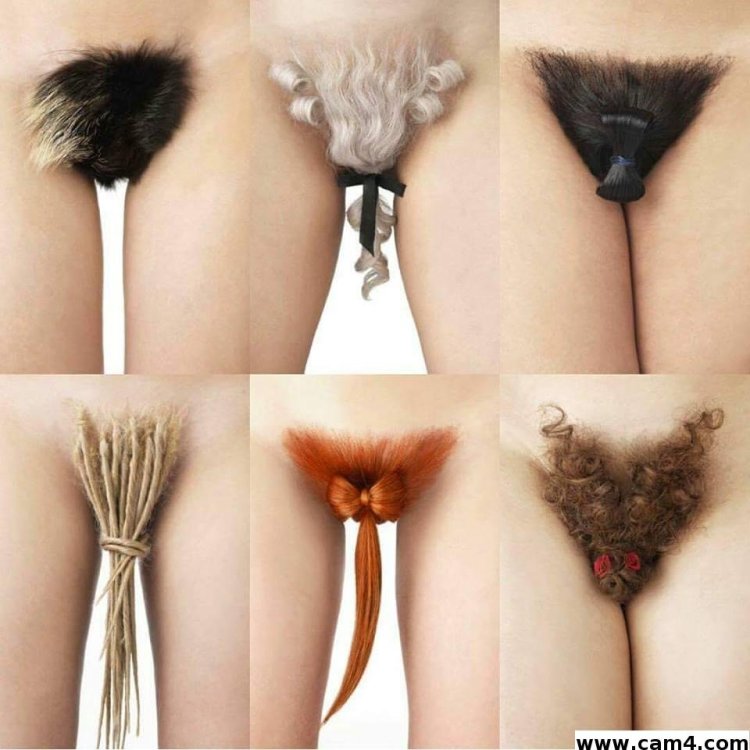 Забавные интимные стрижки