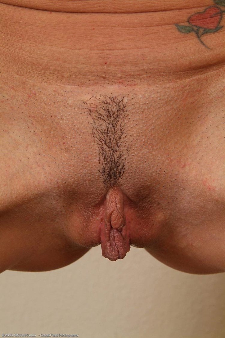 Большие малые половые губки