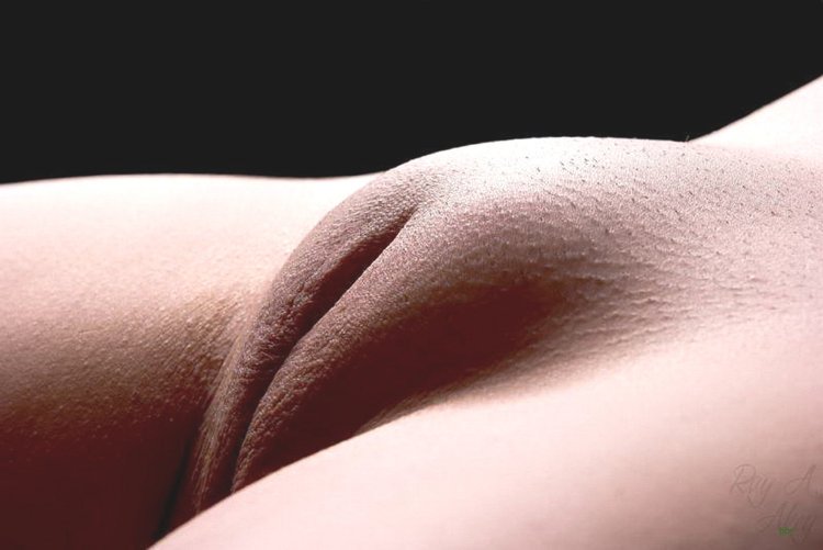 Красивый выпуклый лобок