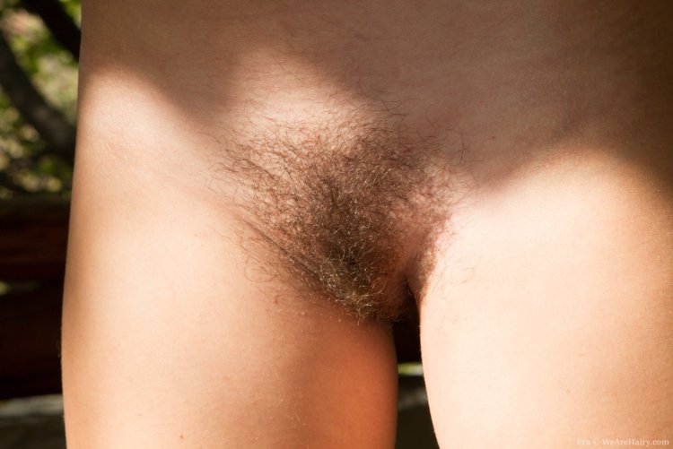 Маленькие волосики на лобке
