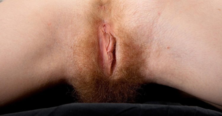 Светлые волосы на писечке