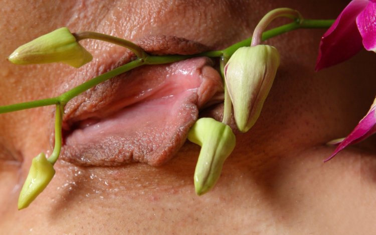 Цветок похожий на влагалище