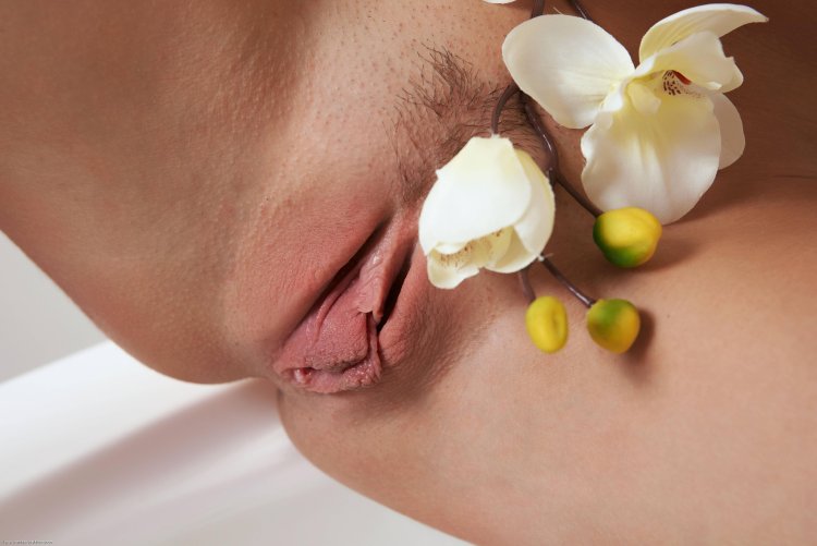 Виктория Роуз (Victoria Rose) pussy