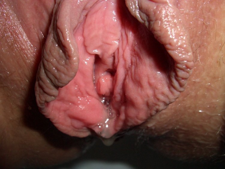 Женские вагины изнутри