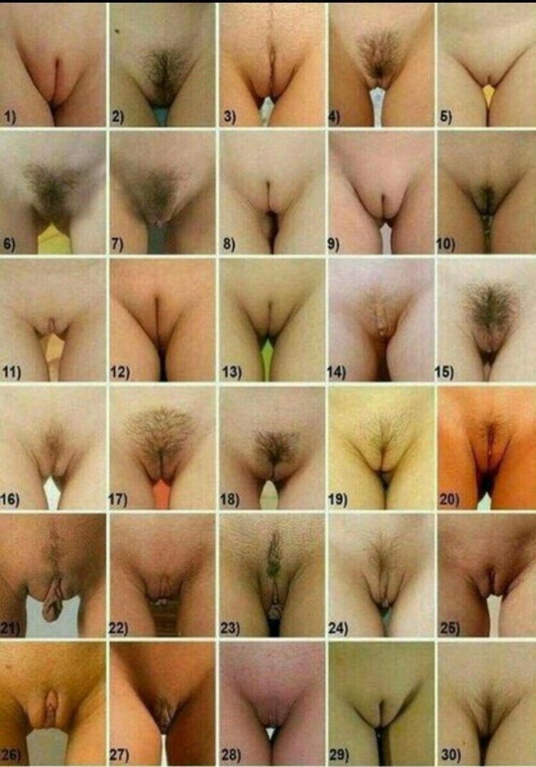 Формы женских гениталий