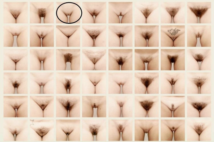 Женские эротические стрижки