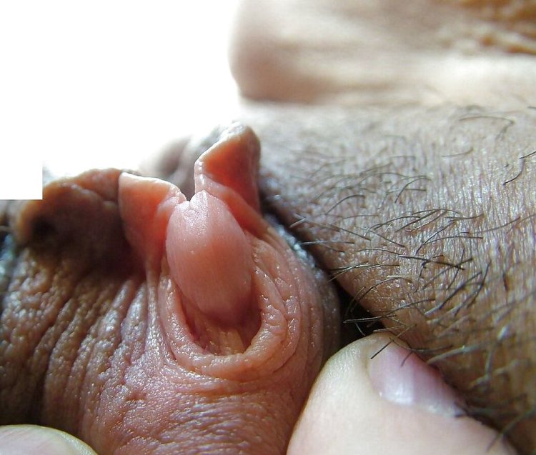 Красивое влагалище крупно