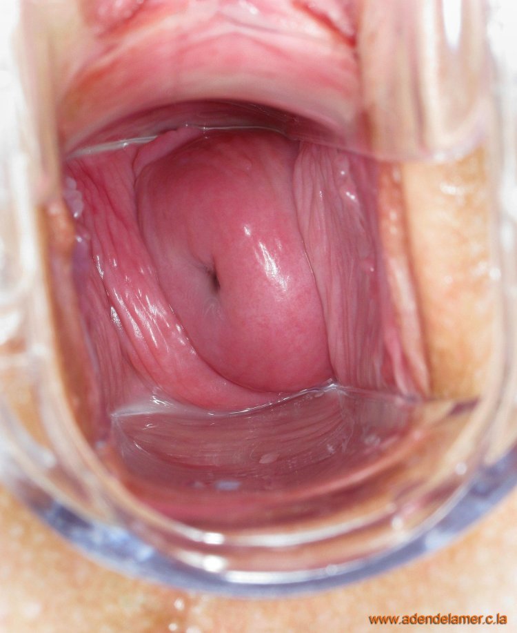 Женские вагины изнутри