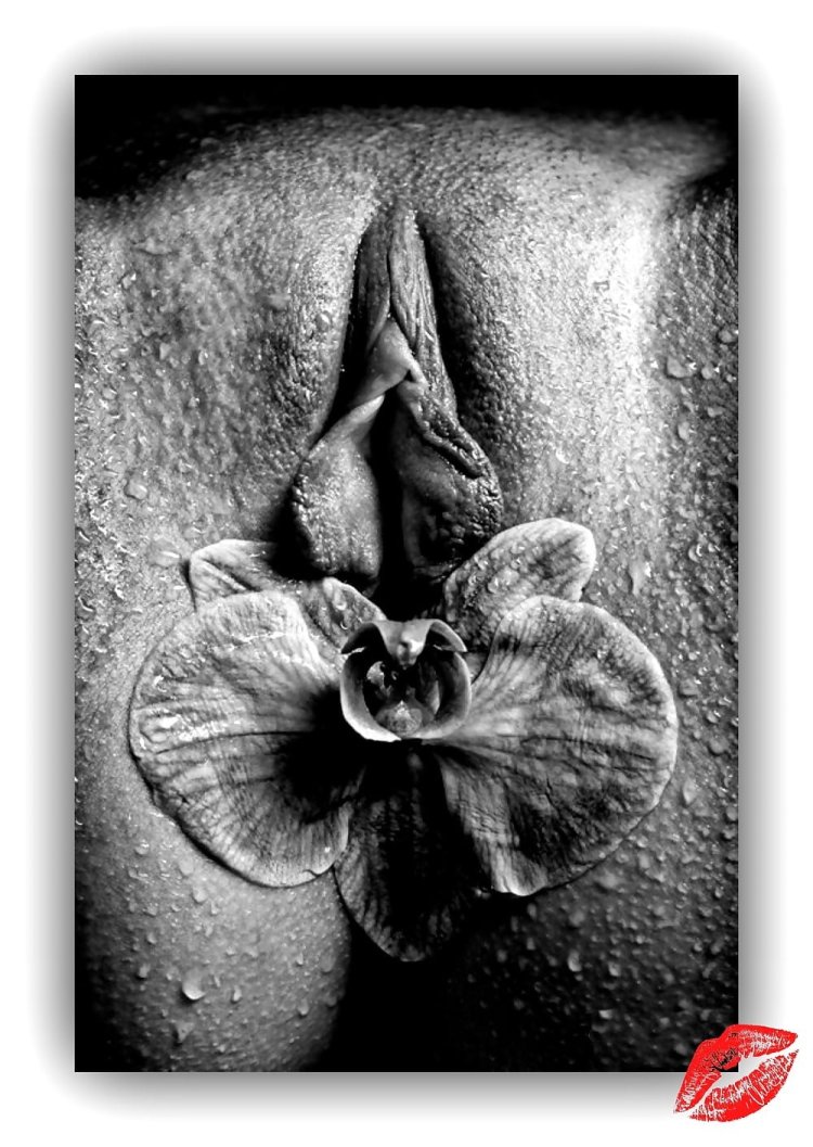 Ню промежность черно-белое