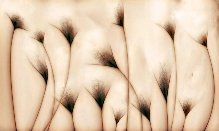 Эротический обман зрения