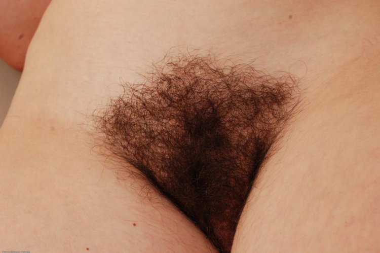 Рыжая писечка с. полоской