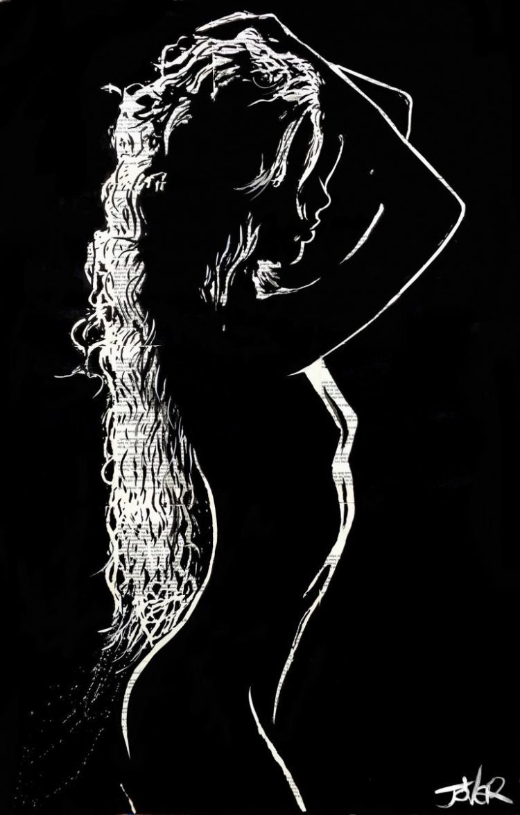 Красивый женский силуэт