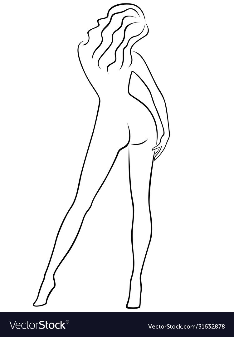 Грудь Графика