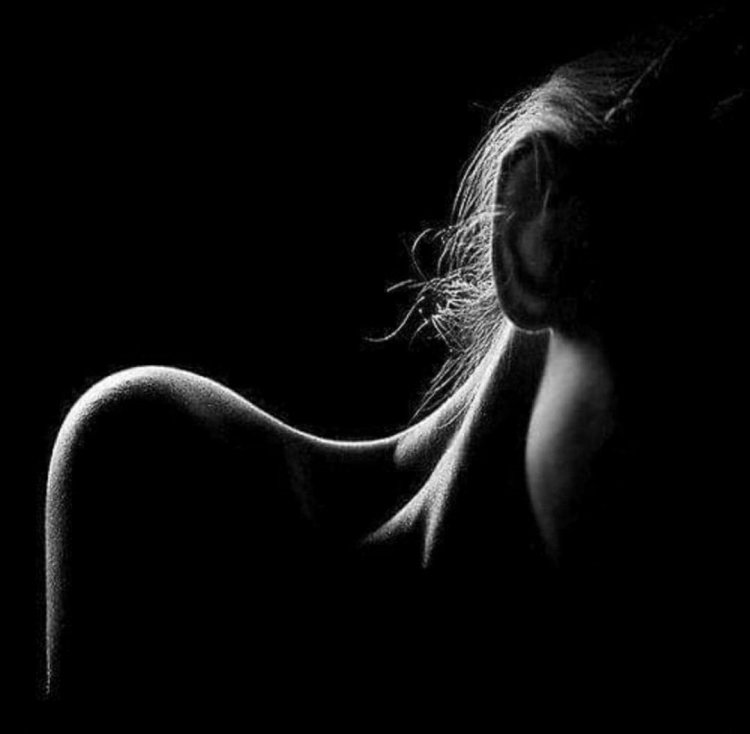 Силуэт женского тела