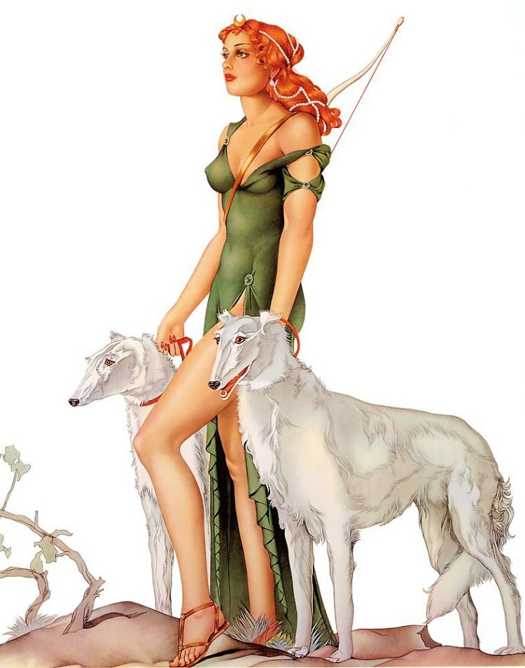 Красивые эротические позы