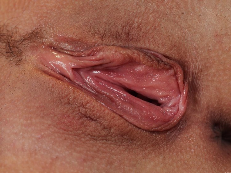 Женские гениталии крупным планом