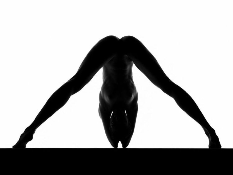 Силуэты голых женщин фото