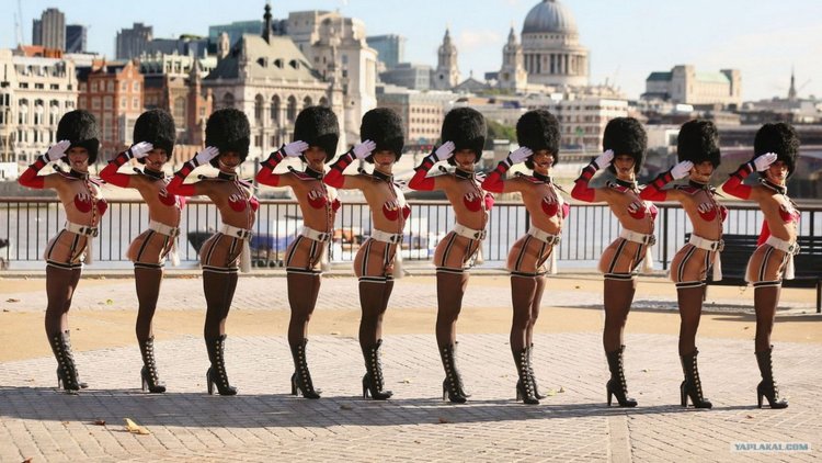 Парад кисок