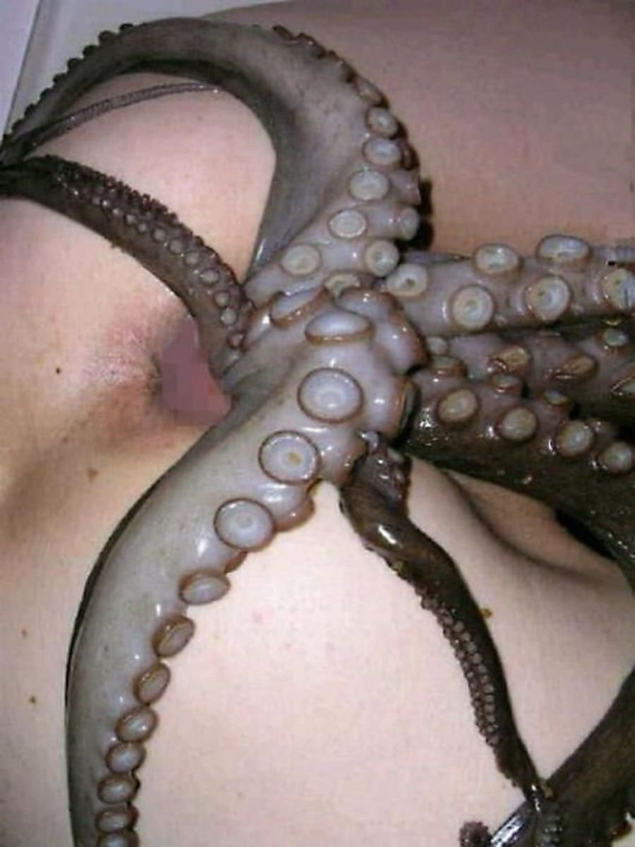 осьминог голова в жопе фото 112