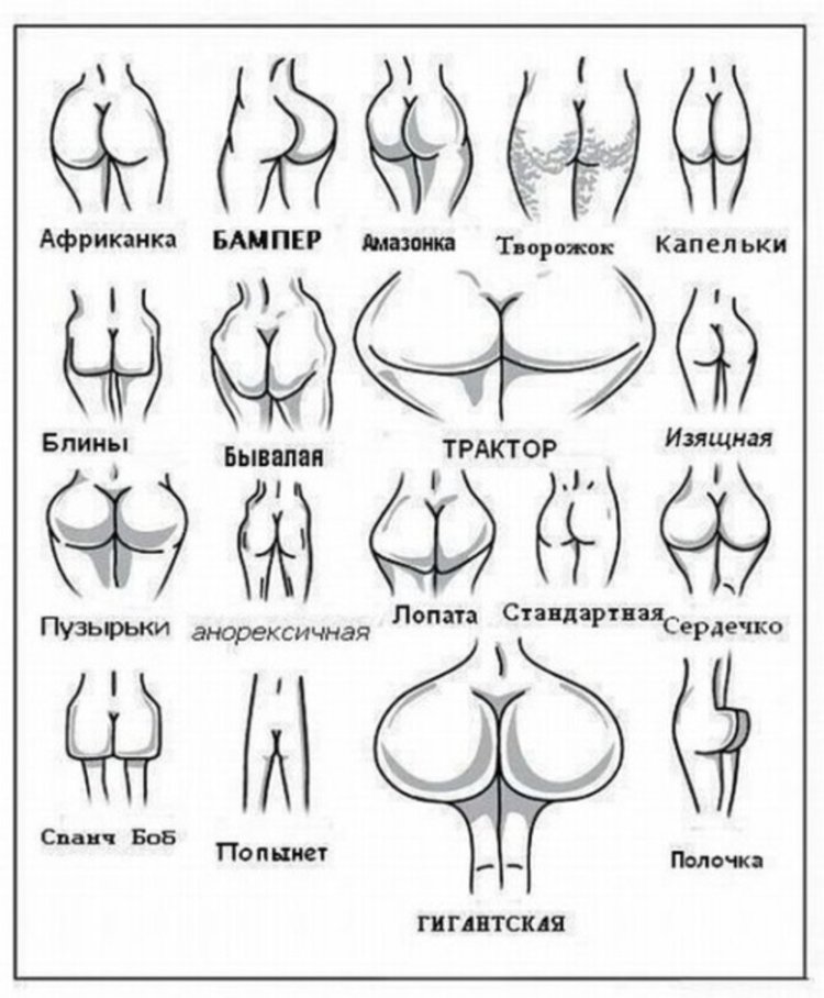 Разные формы женских ягодиц