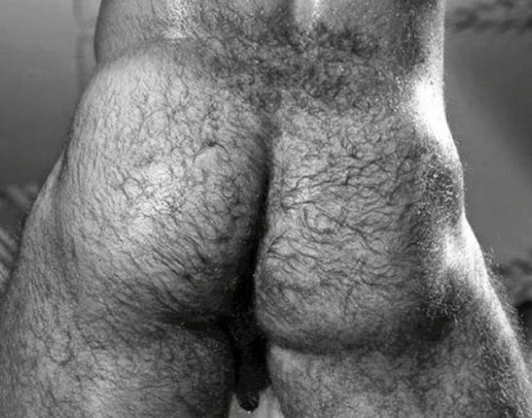 Волосатая мужская задница