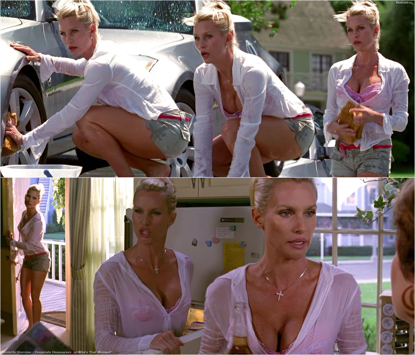 Nicollette sheridan sexy